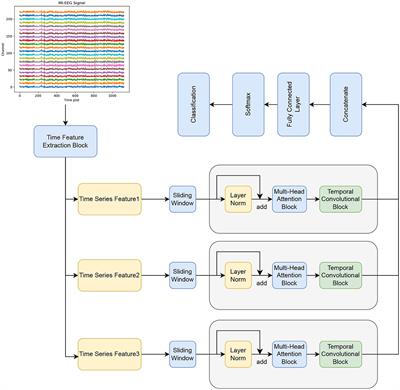 Bidirectional feature pyramid attention-based temporal convolutional network model for motor imagery electroencephalogram classification